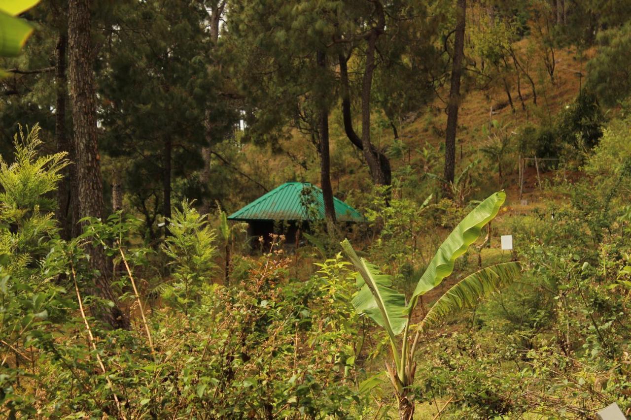 Heal Farm - Himalayan Eco Alternative Lifestyle For Agriculture Recreation And Meditation Nainital Exterior photo