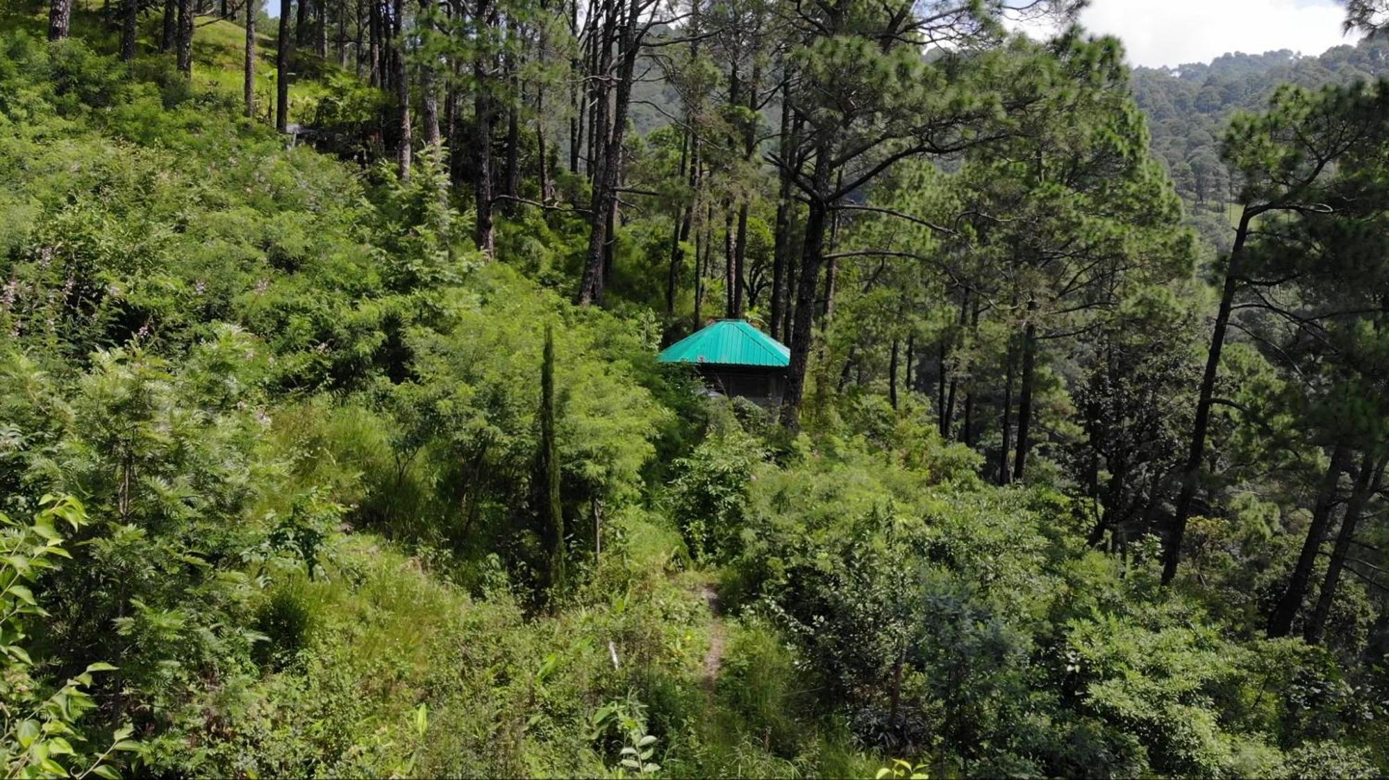Heal Farm - Himalayan Eco Alternative Lifestyle For Agriculture Recreation And Meditation Nainital Exterior photo